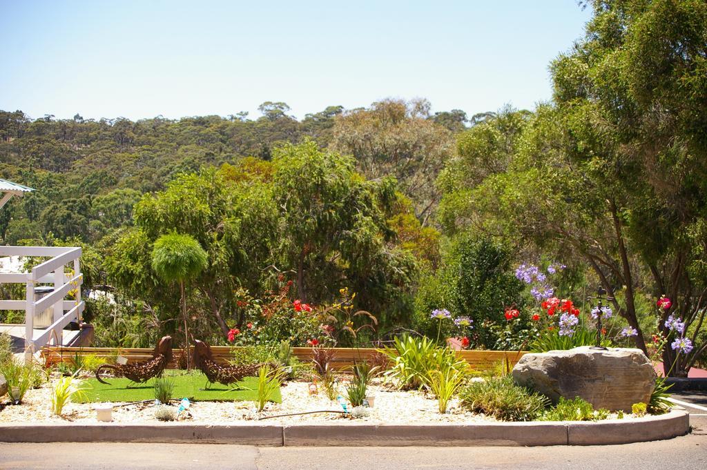 Clare Valley Motel Экстерьер фото
