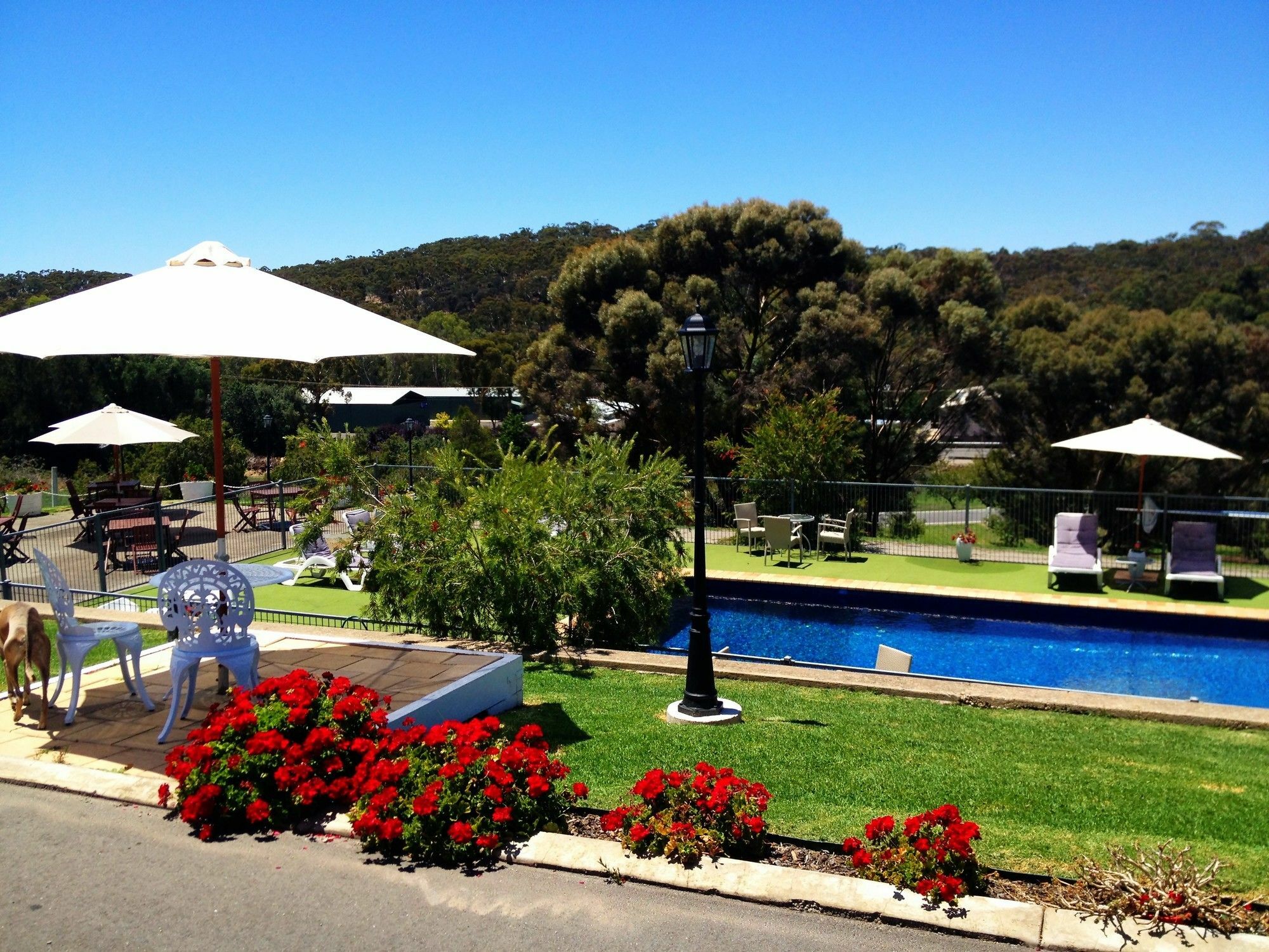 Clare Valley Motel Экстерьер фото